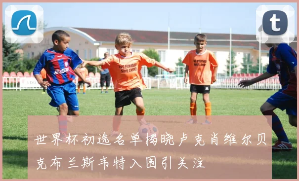 世界杯初选名单揭晓卢克肖维尔贝克布兰斯韦特入围引关注